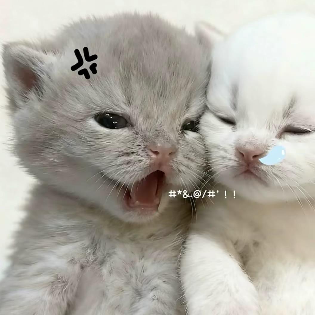 暴躁小熠