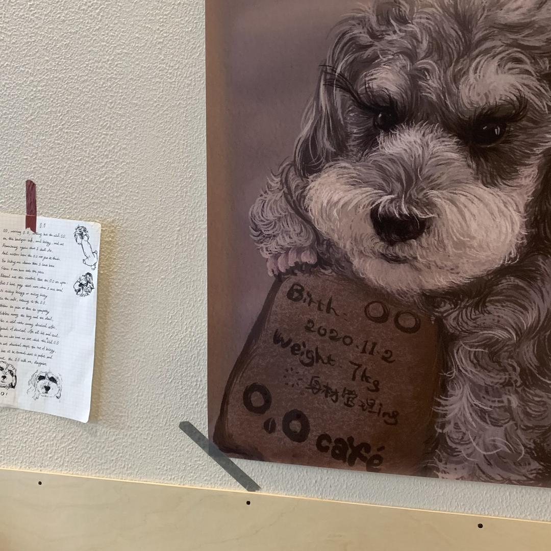 七宝中古集合店铺