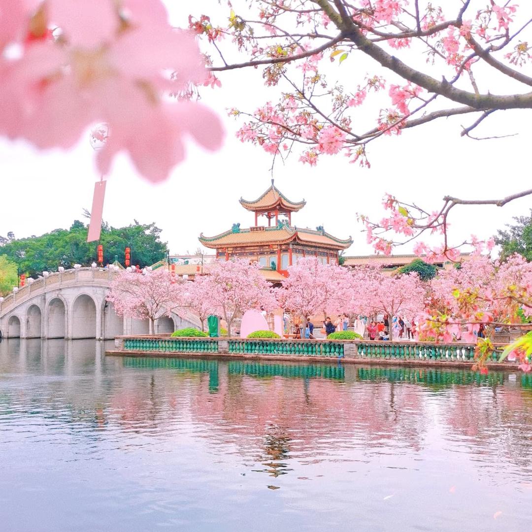 广佛实惠游