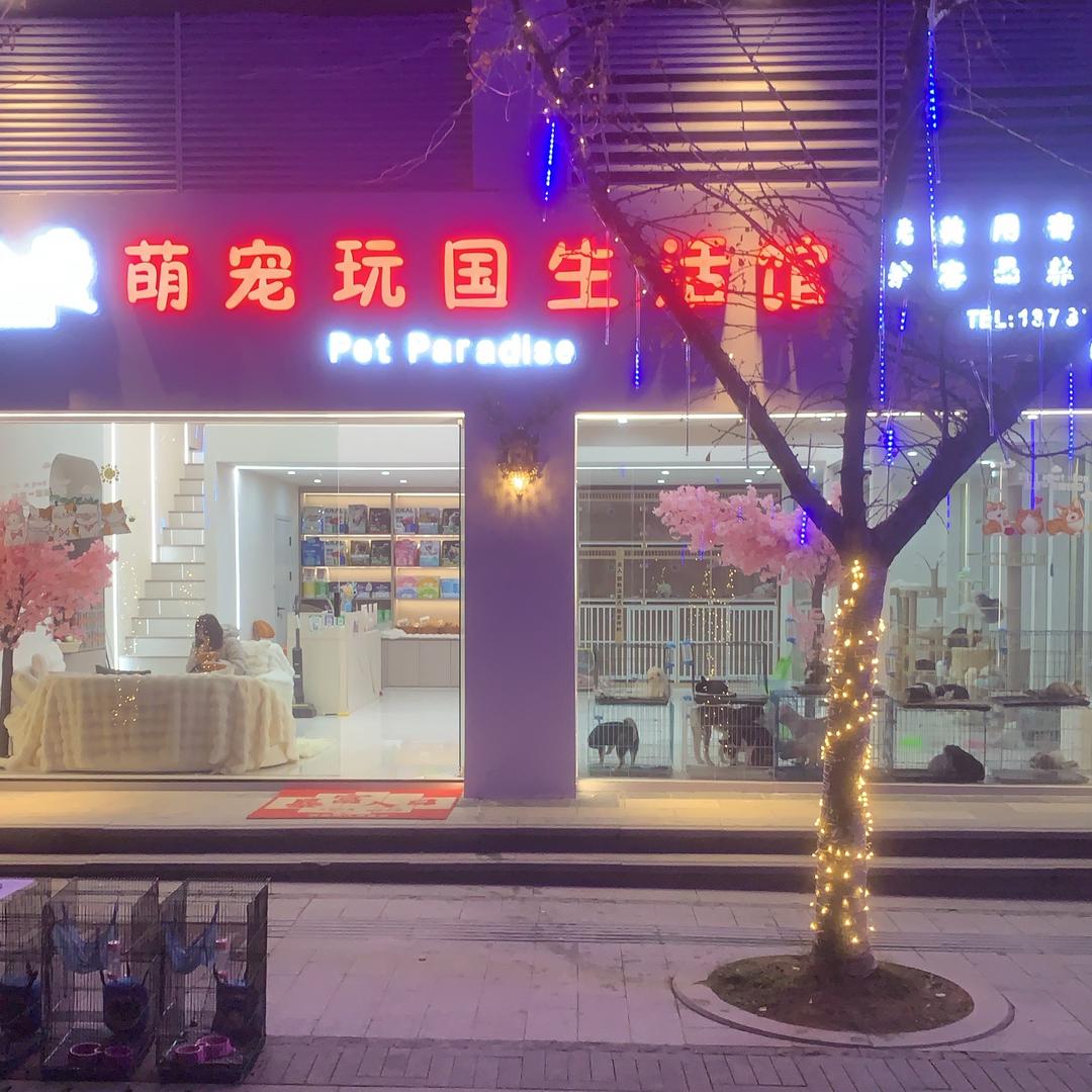 萌宠玩国@猫咖@狗咖
