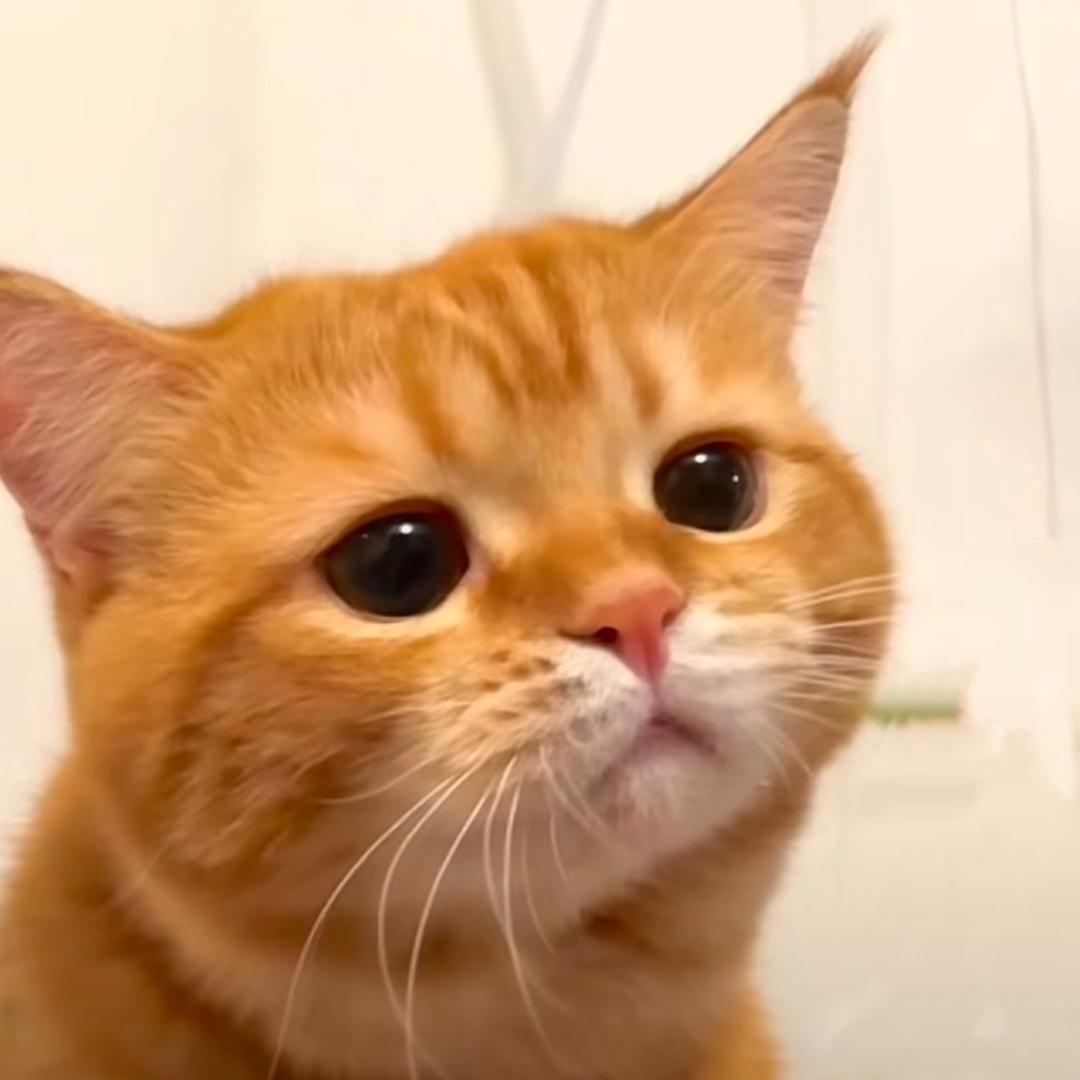 -_-