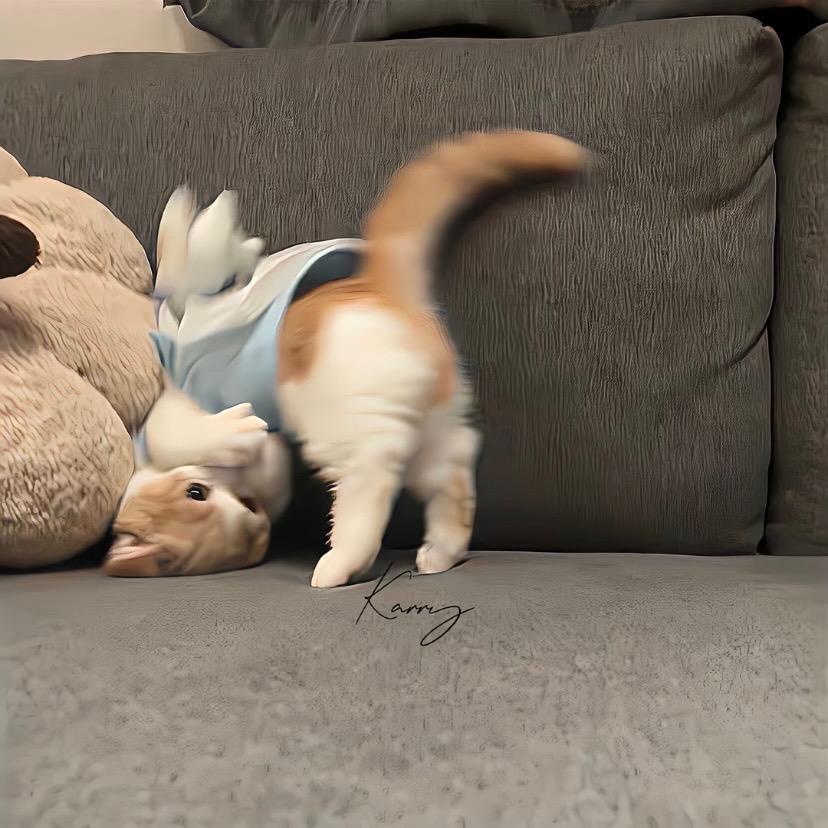 0-6个月早教知识