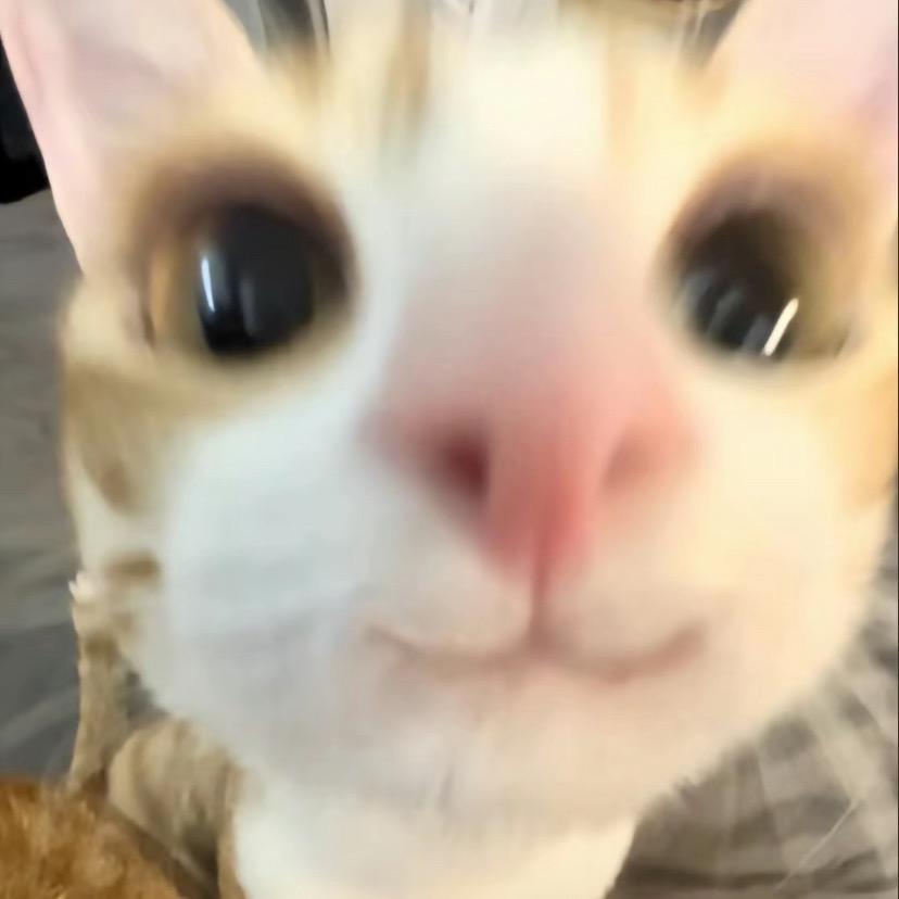 VVM