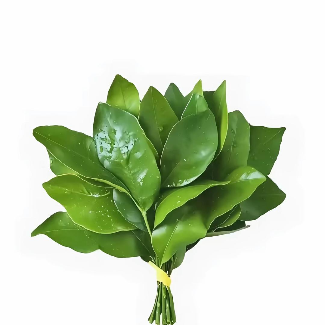 想找个花臂当枕头