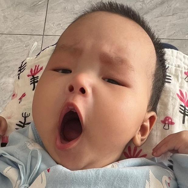 小肉球