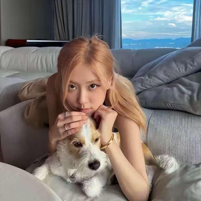 涵涵涵涵