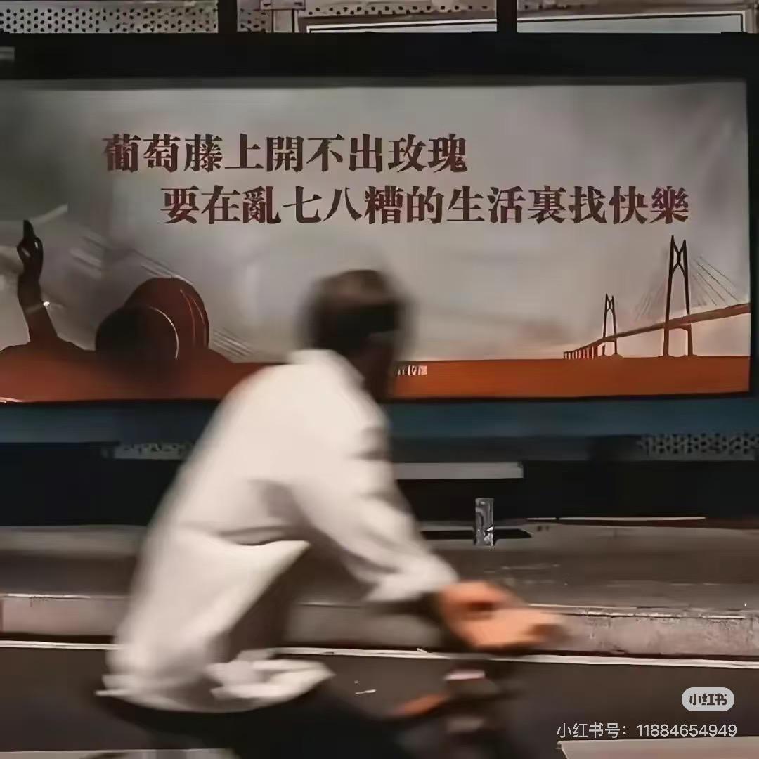 吃土豆长大的马铃薯