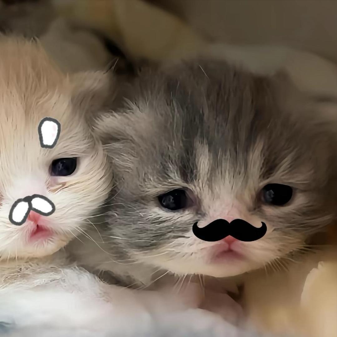 烤鱿鱼