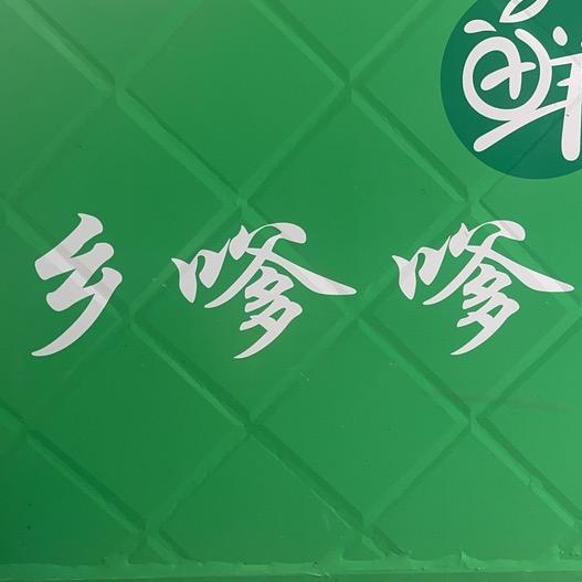 隆回乡嗲嗲农家馆