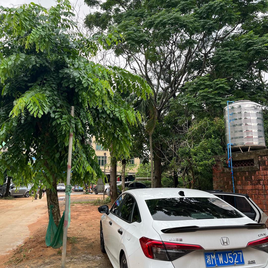 家和万事兴🇨🇳