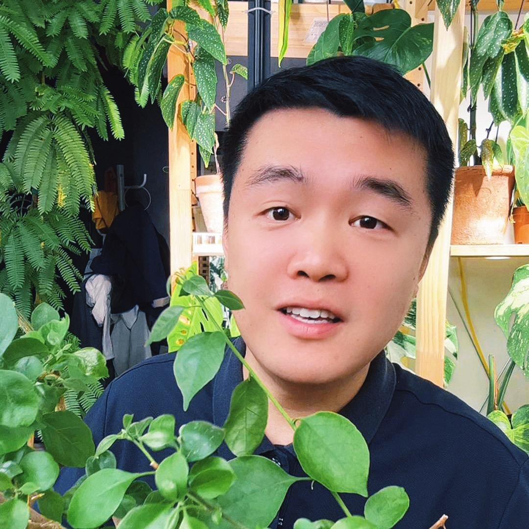 小九的植物阳台