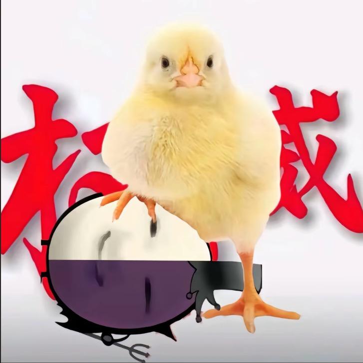 茉莉奶绿^