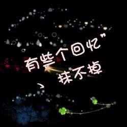Ay熊猫🐼