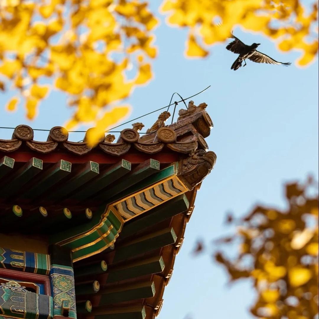 禅缘阁_禅缘