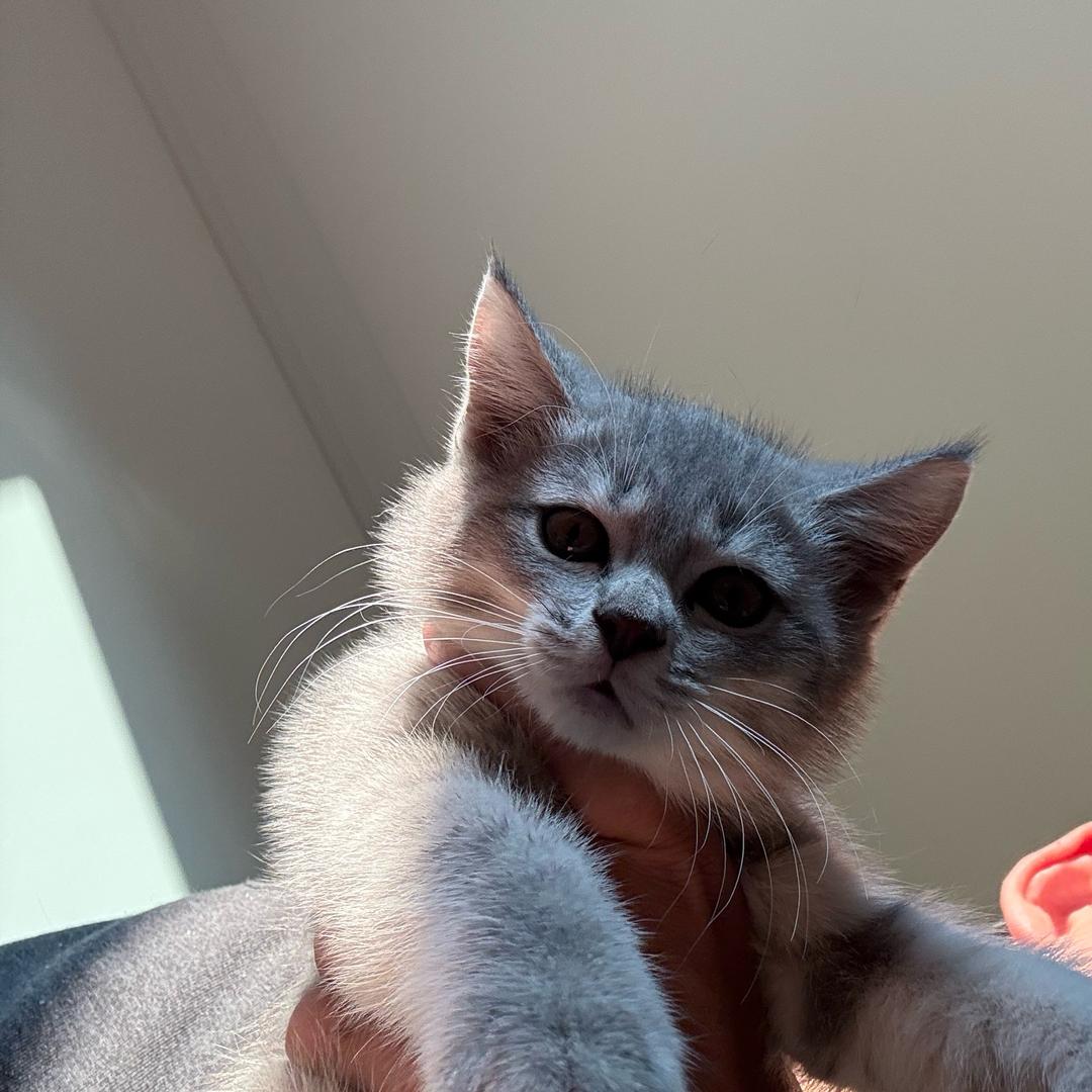 Hello 黄百万@抖音