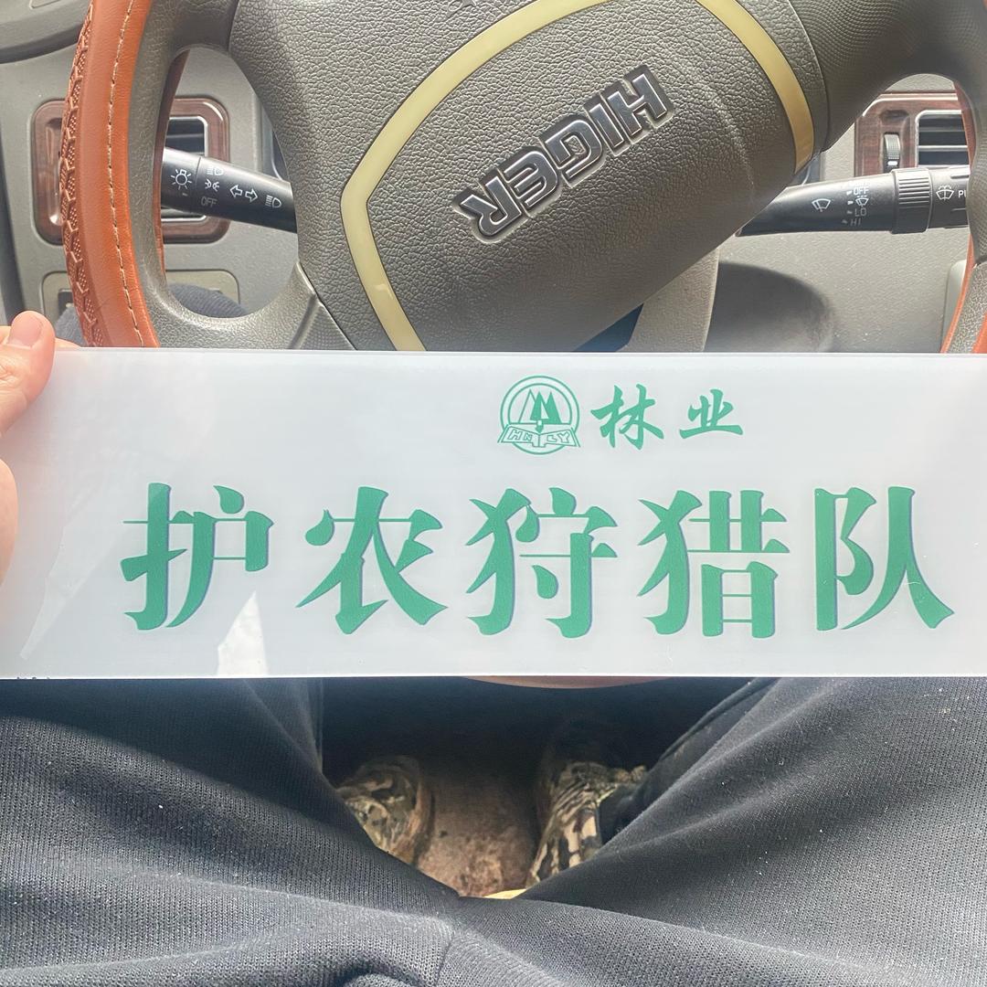 楚风