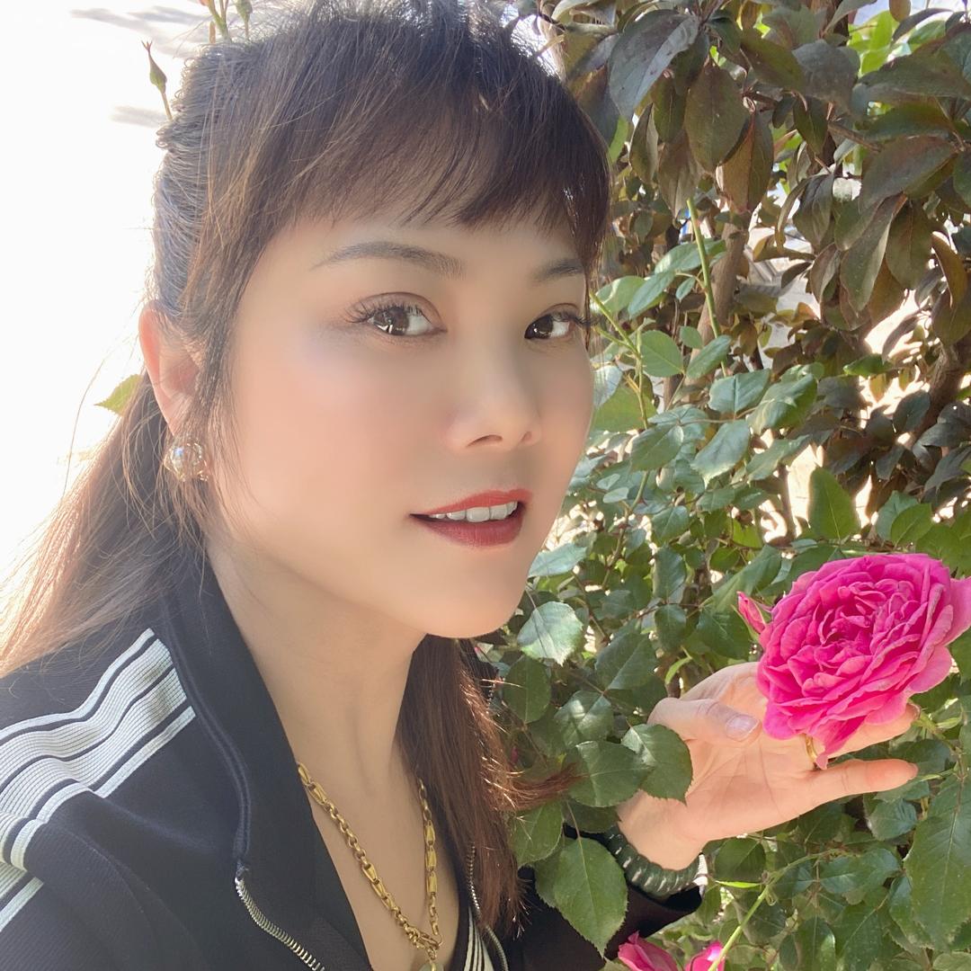 🍀🌴🌸🌷缘🍀🌸💐🌾🍀