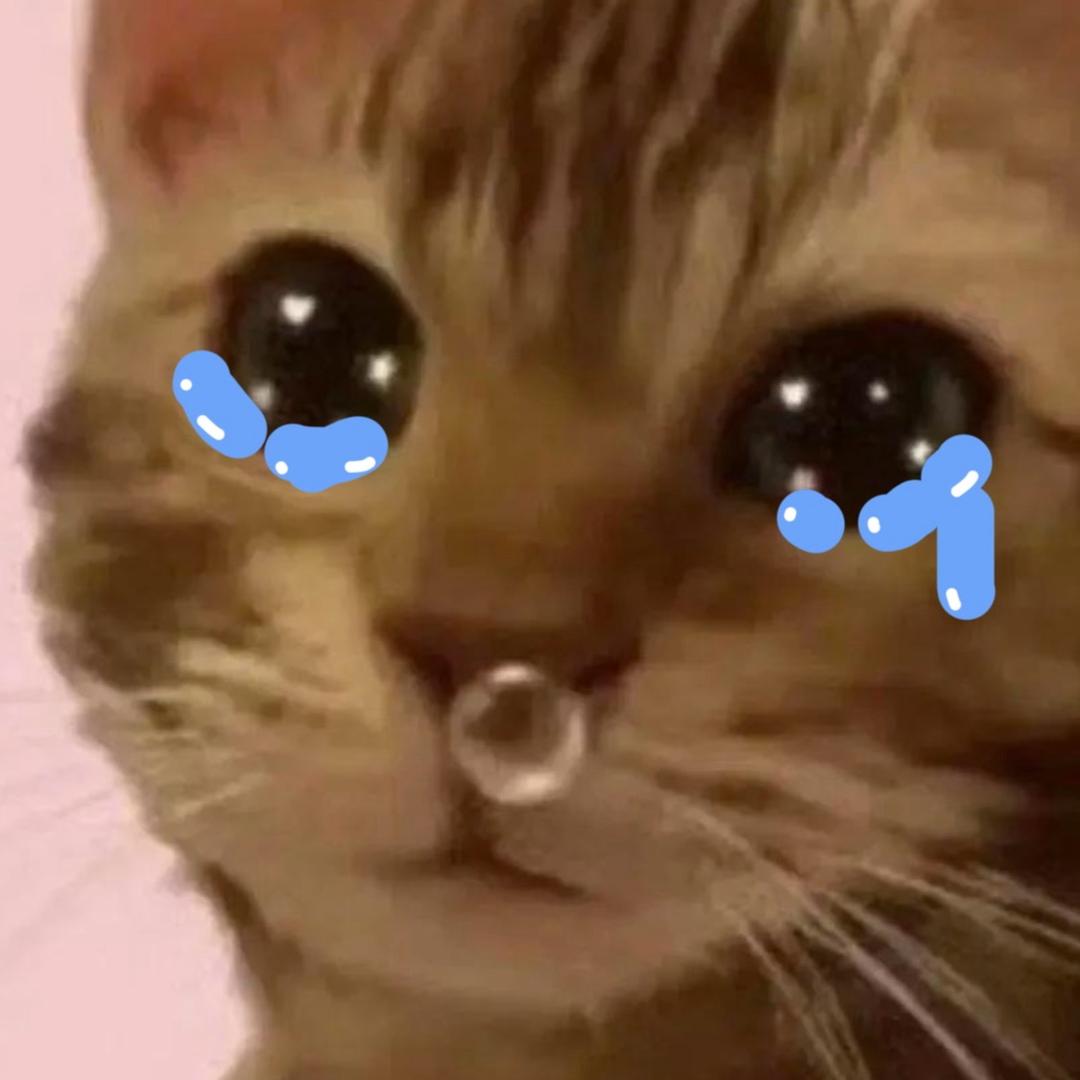 我惹你了没