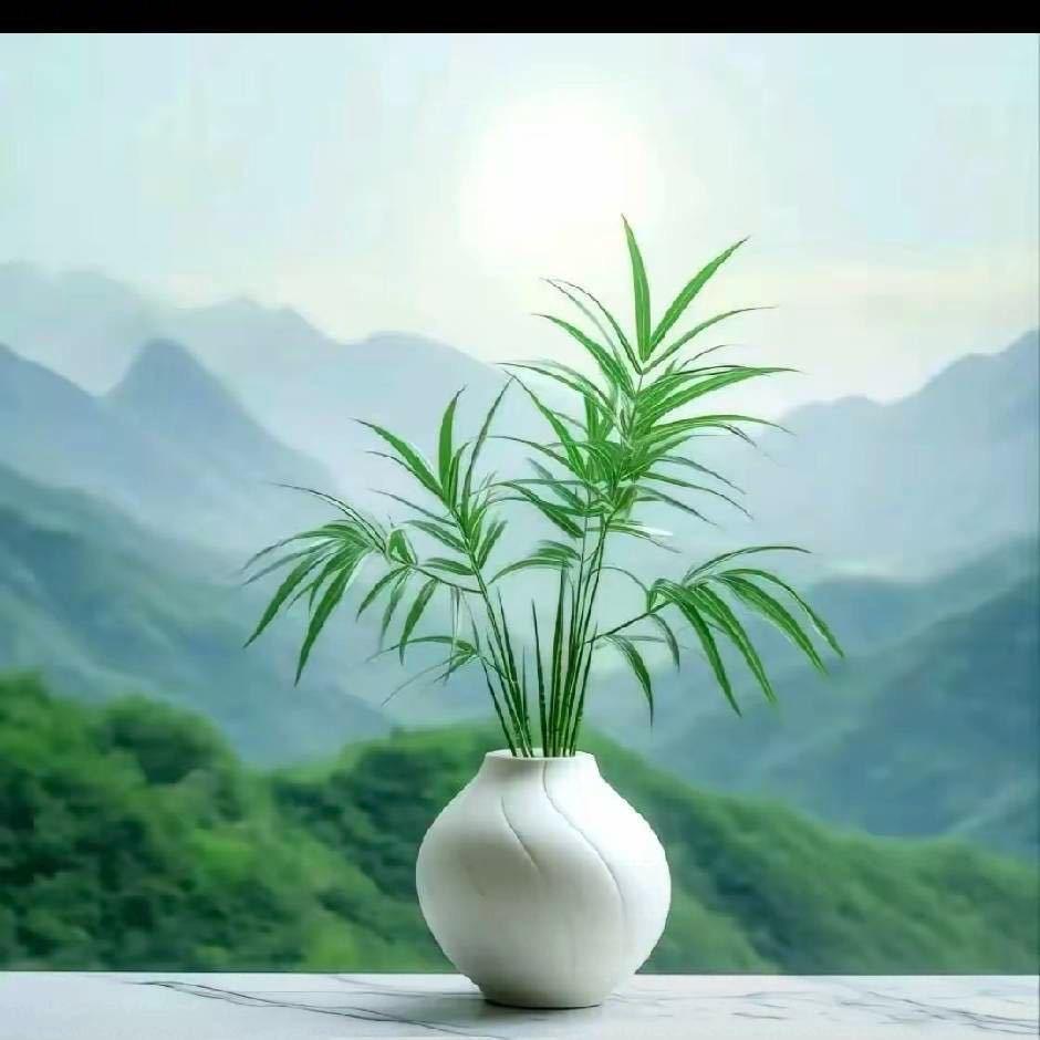 依然心宽