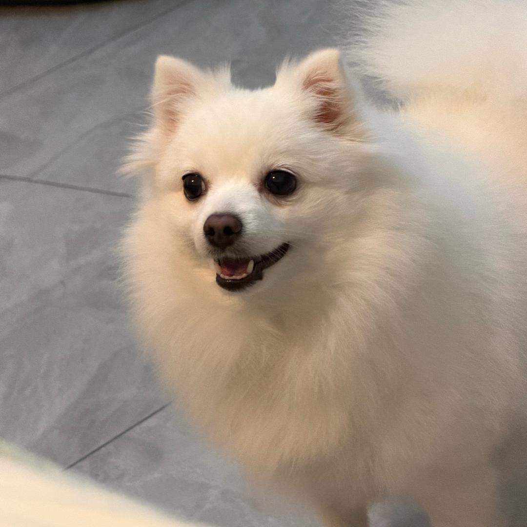 咦，，