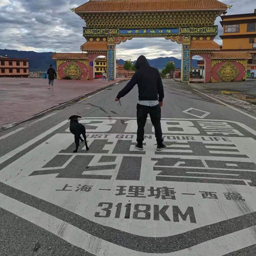 小秃子旅行记