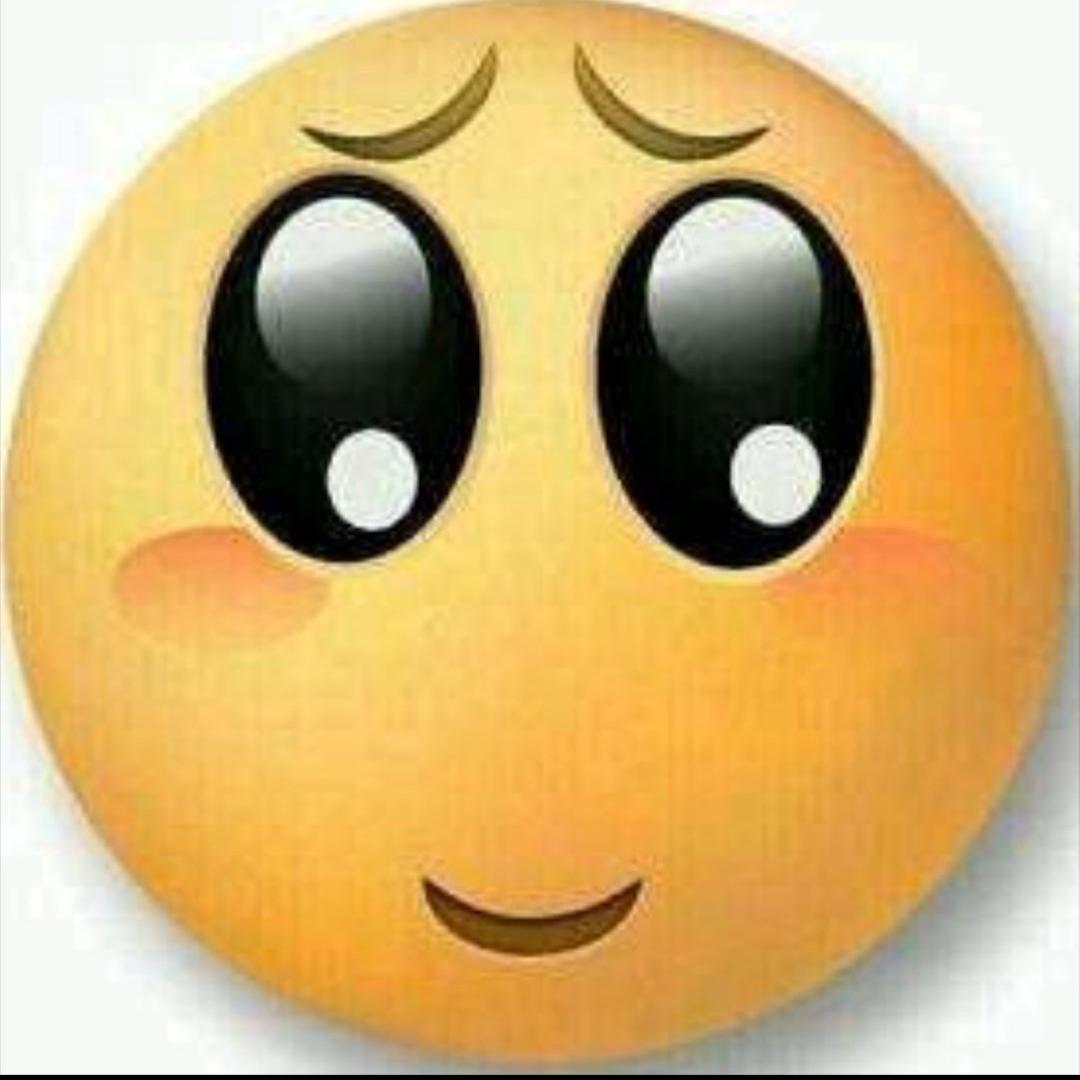 转子淋