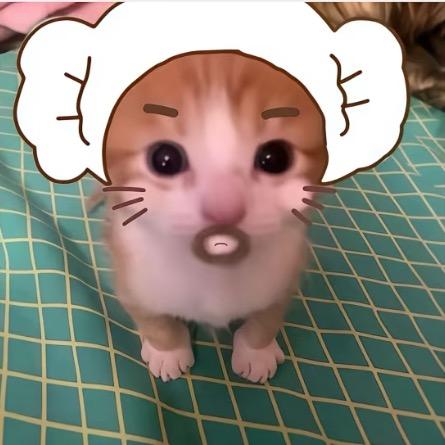 佑宥