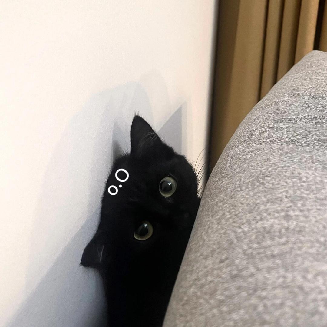 kiki
