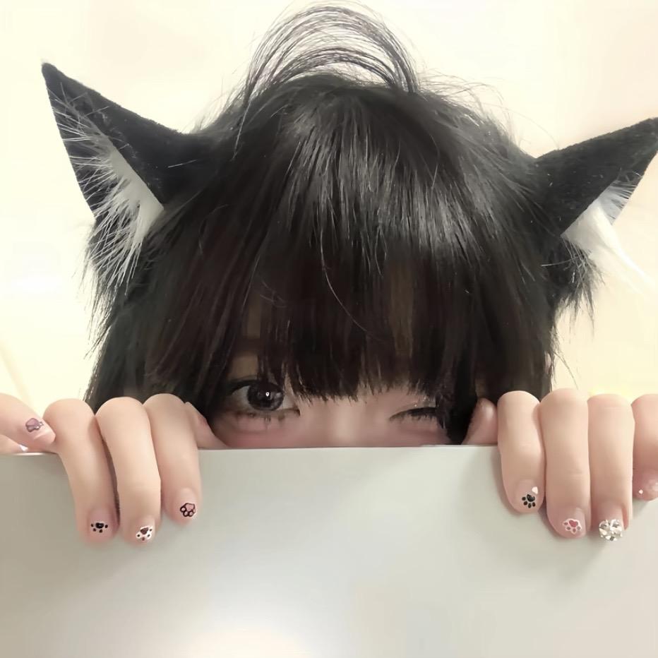 布偶猫