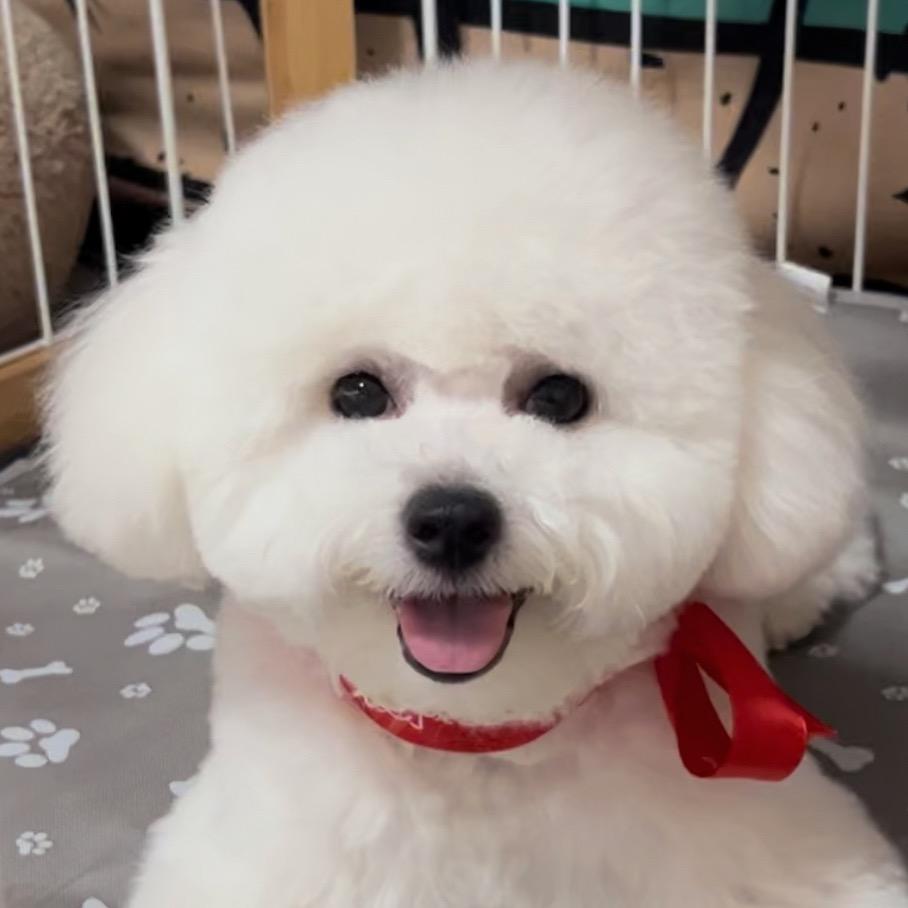 西饭尼