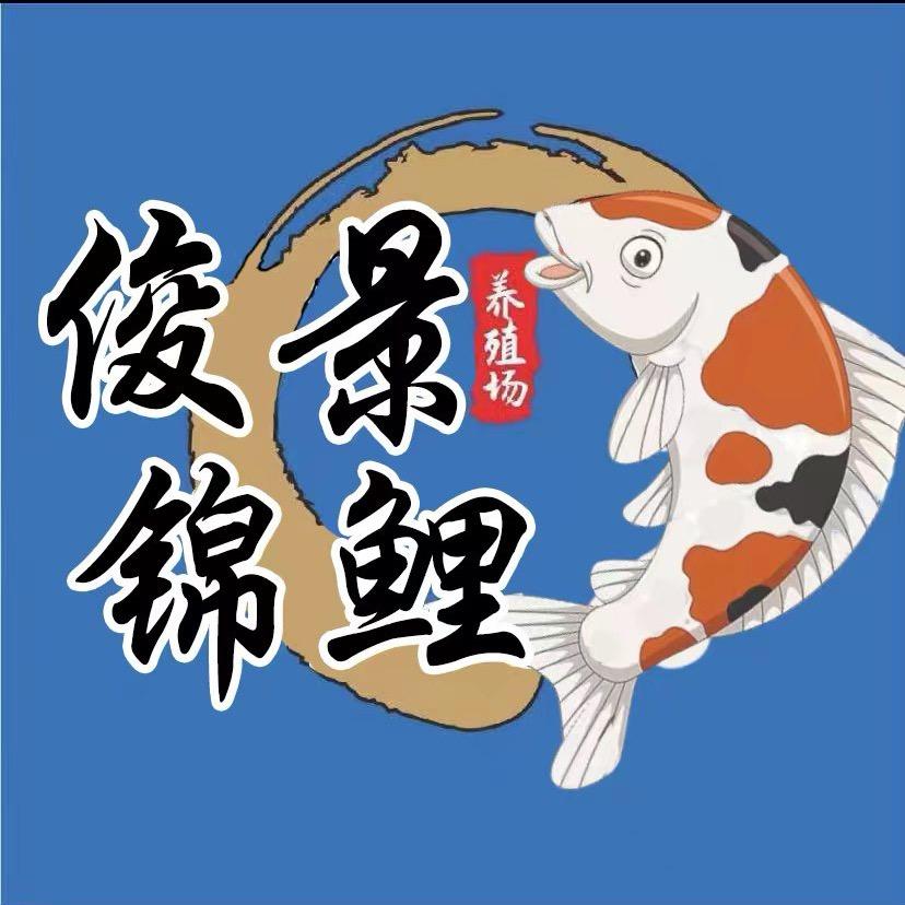 俊景锦鲤鱼场