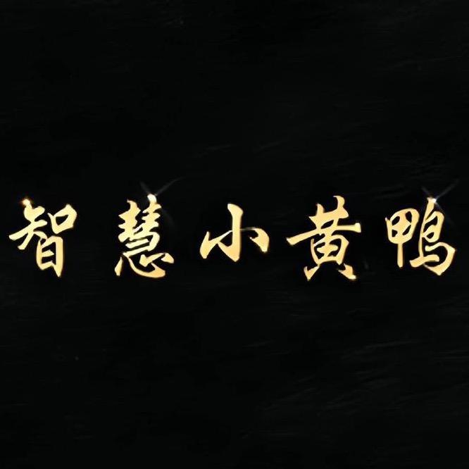 智慧小黄鸭官方旗舰店
