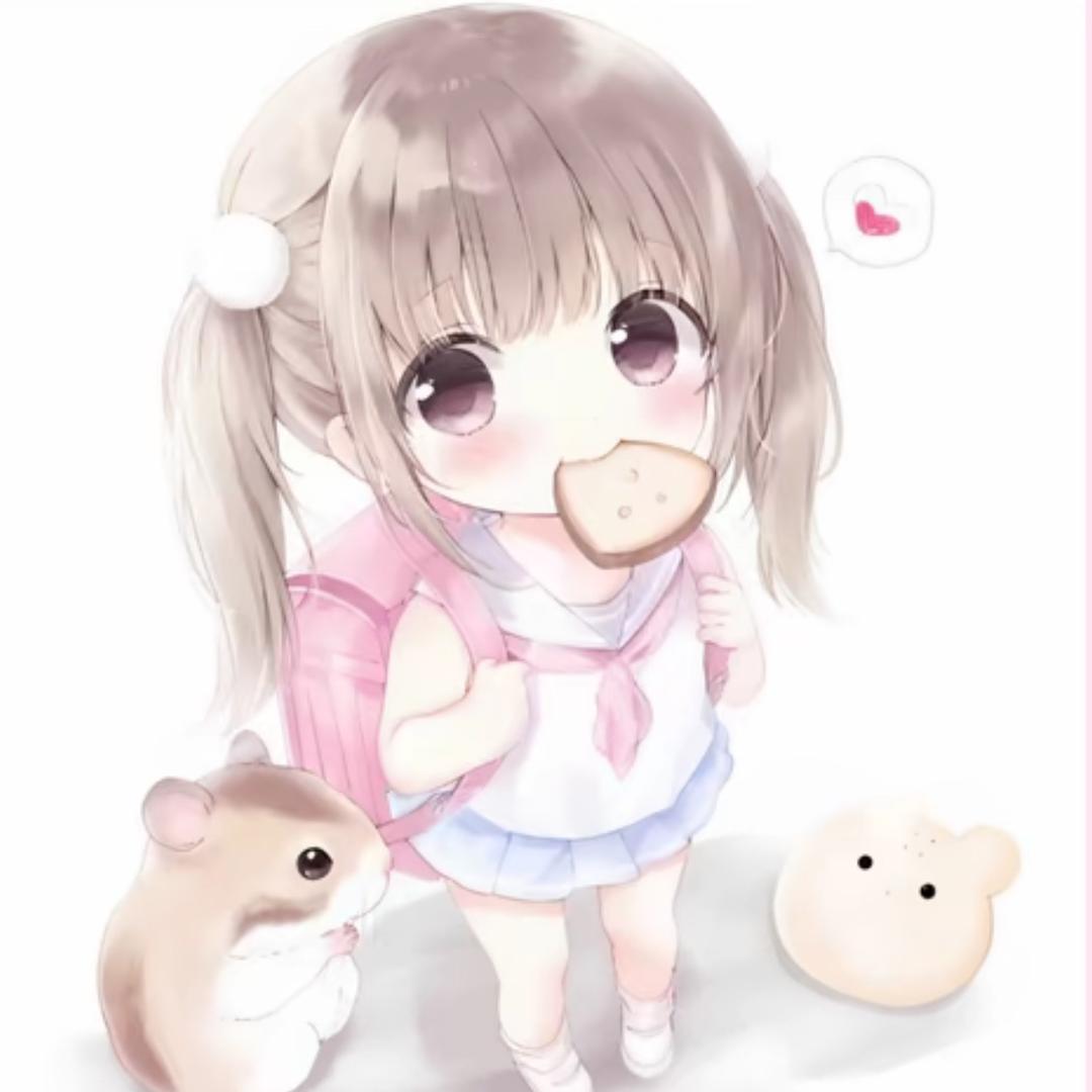 一只兔