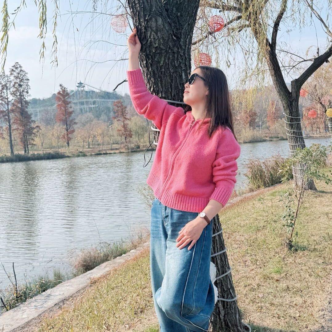 落雁起飞