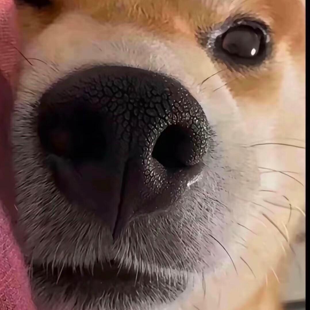 孤独