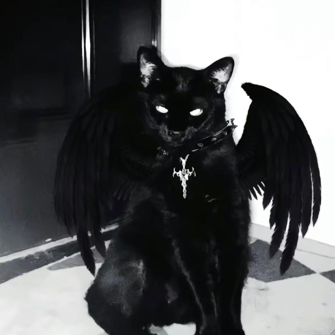 冷川（直播版）