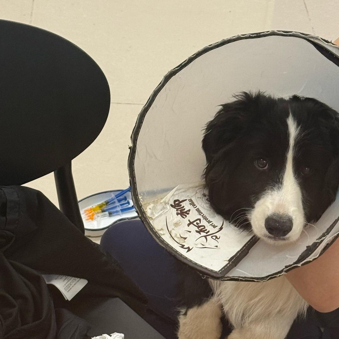 擦边使我快乐🎉