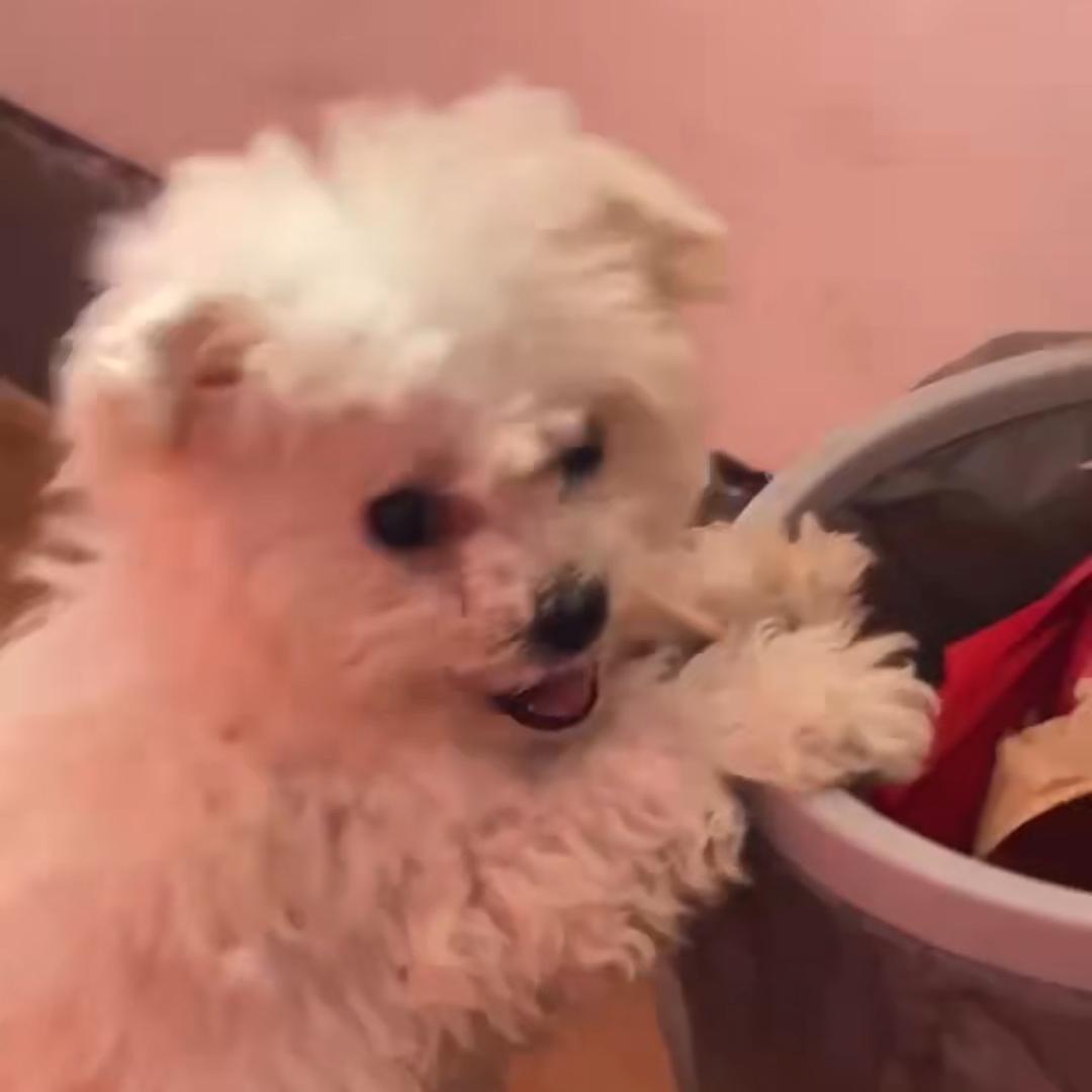考试呢！叫我过儿