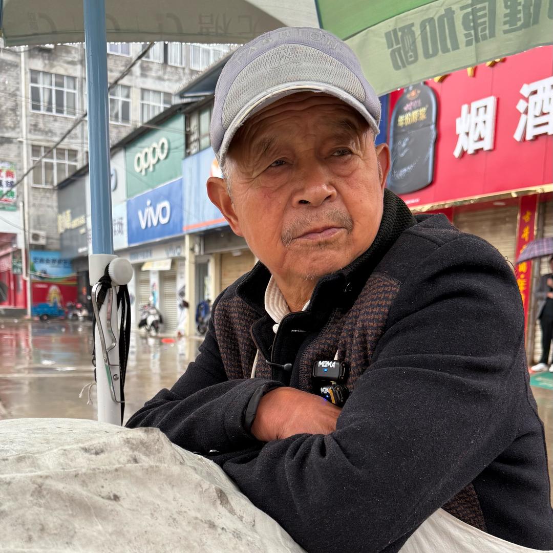 黄口油茶大爷