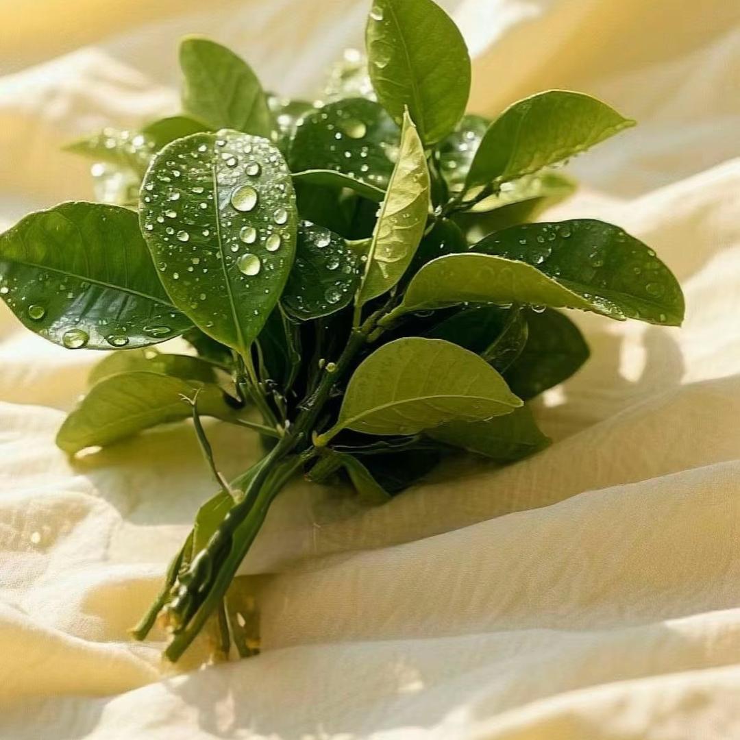 毕节房产小叶子