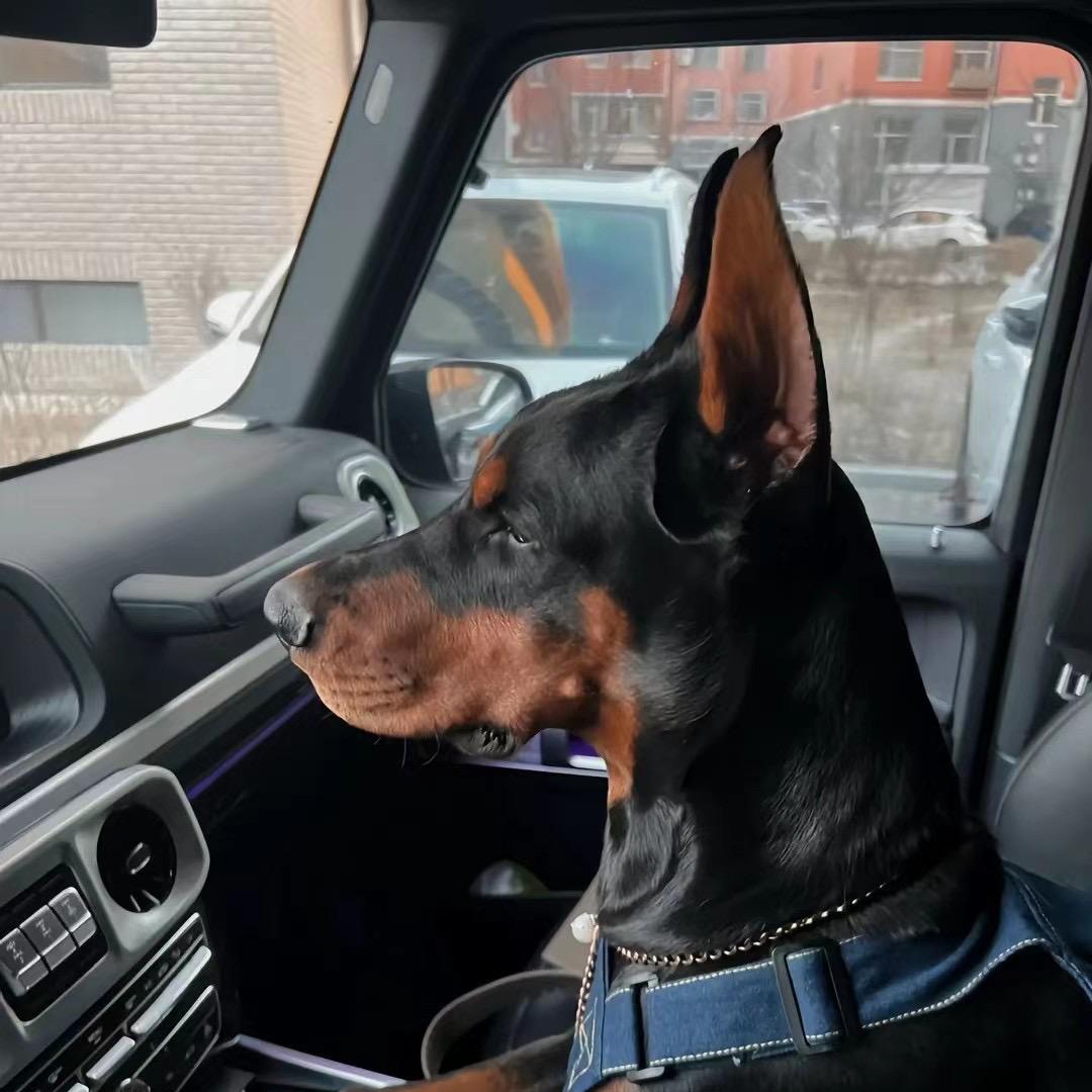 AAA金华建材王总