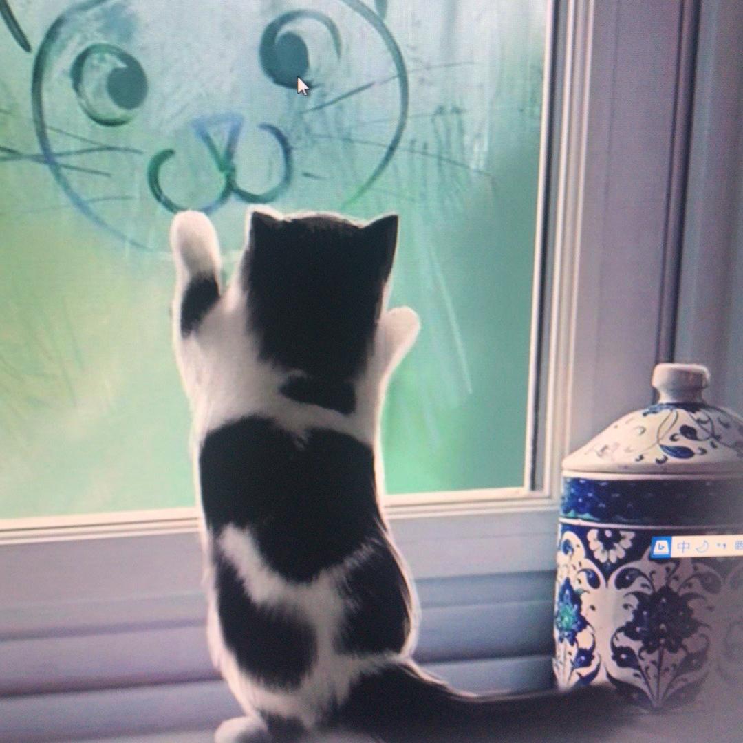 西语网络科技优品小铺