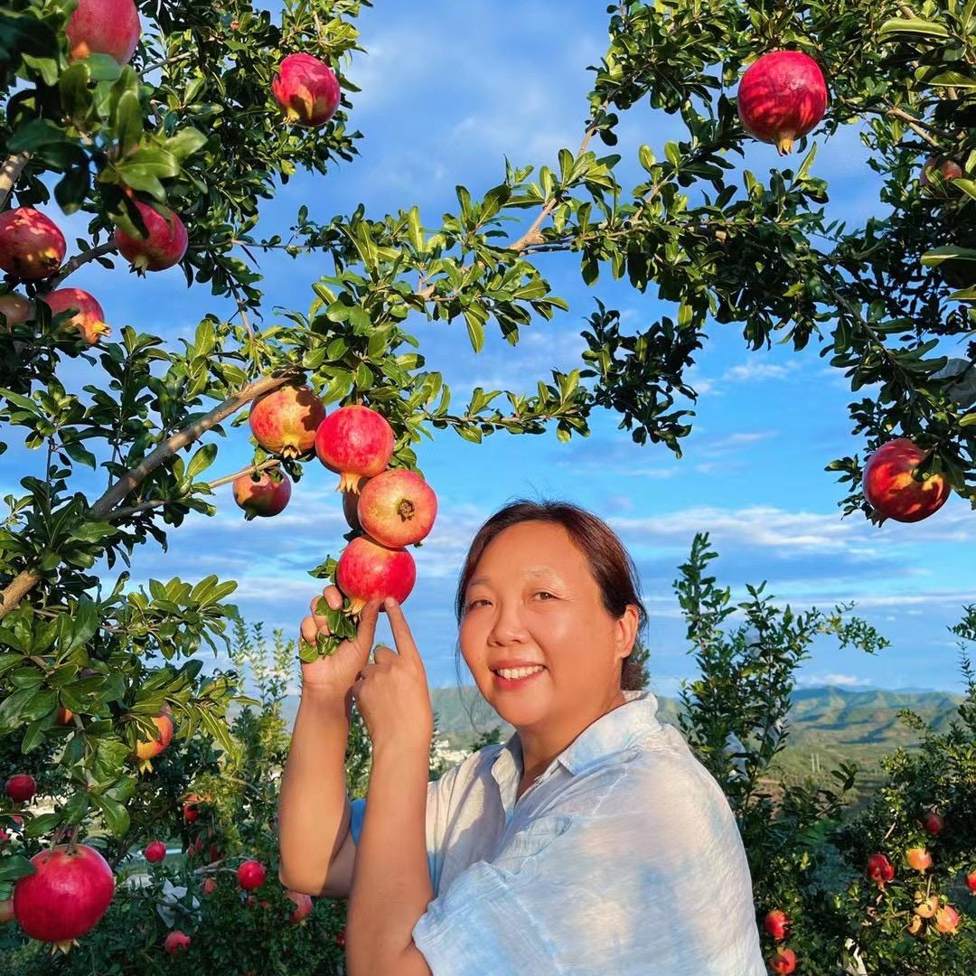 鸿姐土货