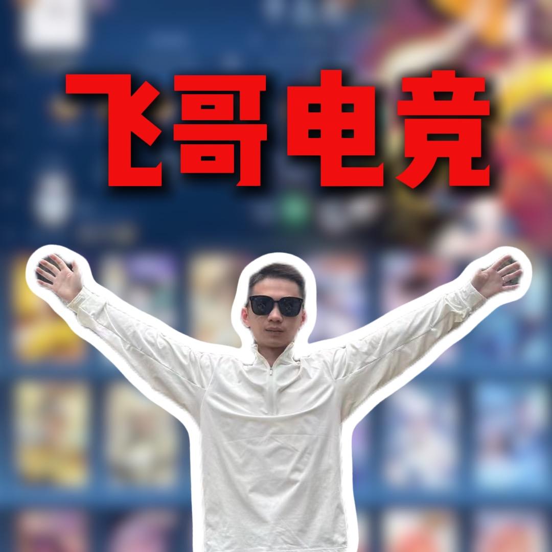 飞哥电竞