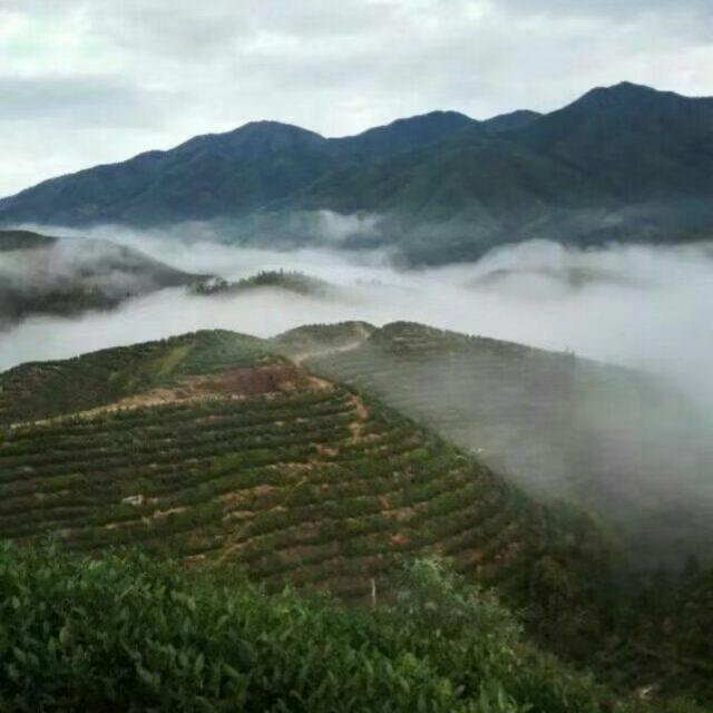 物是人非