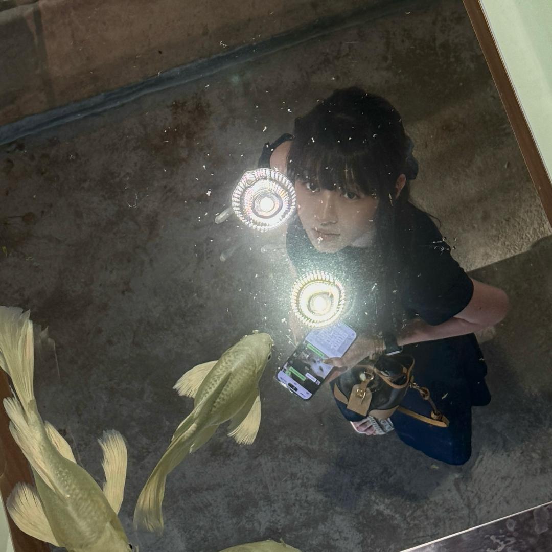 爱打架的小乳猪