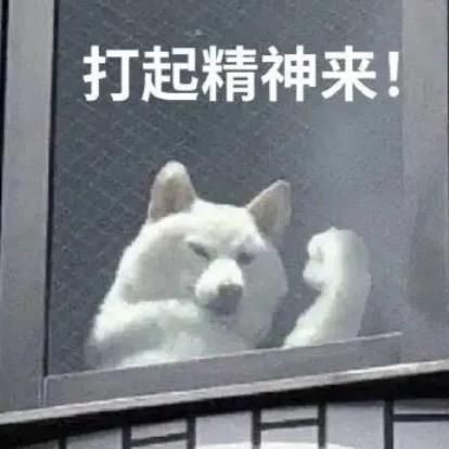 十月每天开心