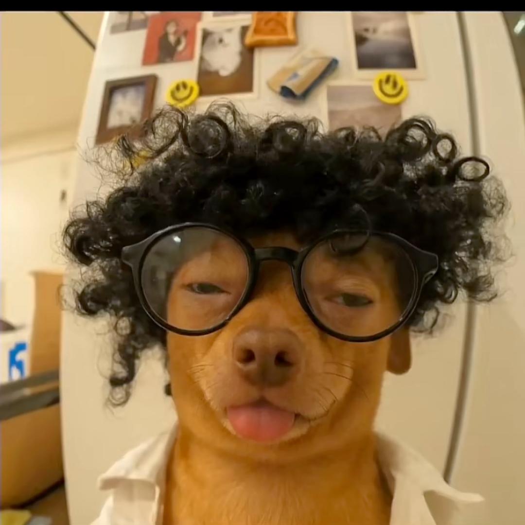 Leslie Ho