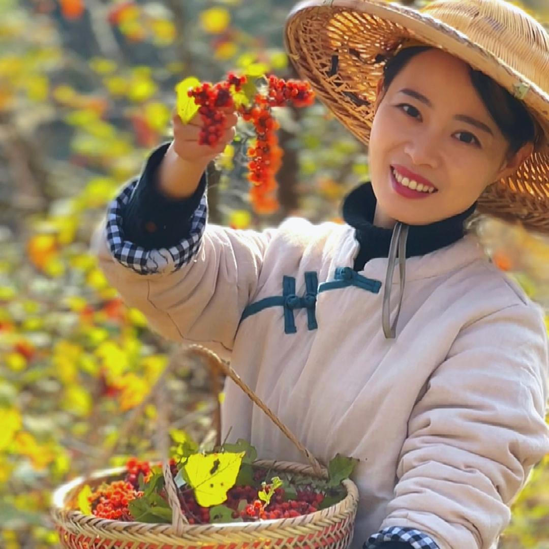 山里的小芳