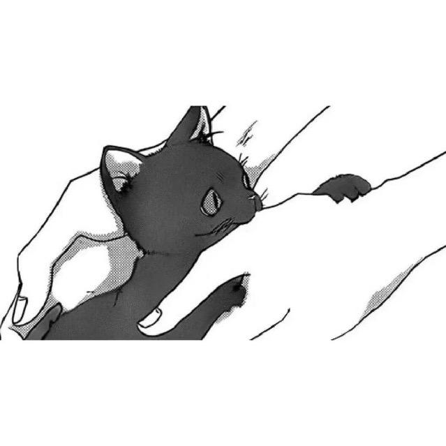 归途也可爱